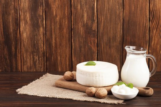 Dairy Industry